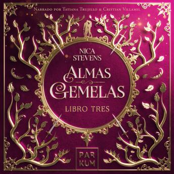 [Spanish] - Almas Gemelas: Las sombras de la memoria
