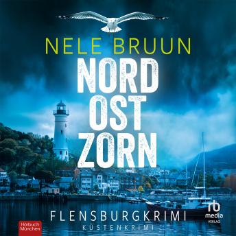 [German] - NordOstZorn: Flensburg-Krimi