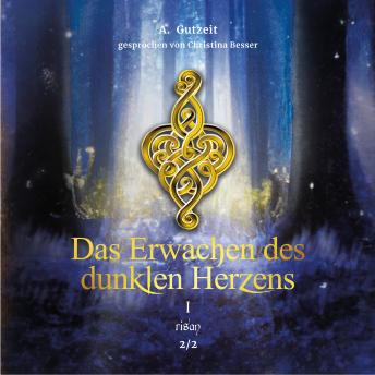 [German] - Das Erwachen des dunklen Herzens Teil 1, Band 2: risan
