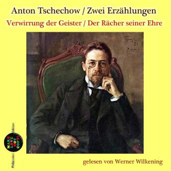 [German] - Verwirrung der Geister / Der Rächer seiner Ehre: Zwei Erzählungen