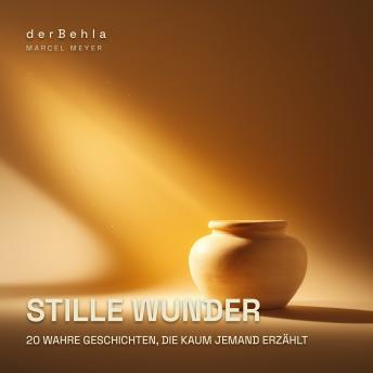 [German] - Stille Wunder — 20 wahre Geschichten, die kaum jemand erzählt: Eine Compilation kurioser Fakten aus Geschichte, Natur und Wissenschaft