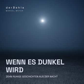 [German] - Wenn es dunkel wird — Zehn ruhige Geschichten aus der Nacht: Sanftes Einschlafwissen über Tau, Mondlicht und die stillen Stunden