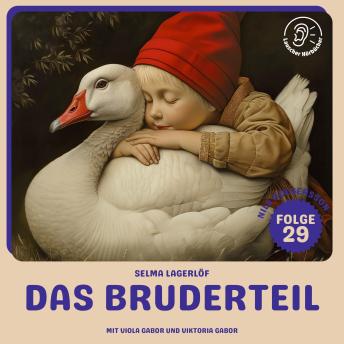 [German] - Das Bruderteil (Nils Holgersson, Folge 29)