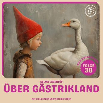 [German] - Über Gästrikland dahin (Nils Holgersson, Folge 38)