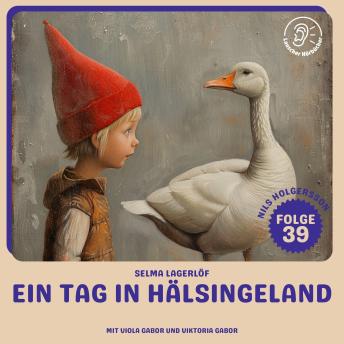 [German] - Ein Tag in Hälsingeland (Nils Holgersson, Folge 39)