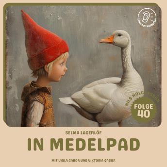 [German] - In Medelpad (Nils Holgersson, Folge 40)
