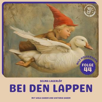 [German] - Bei den Lappen (Nils Holgersson, Folge 44)