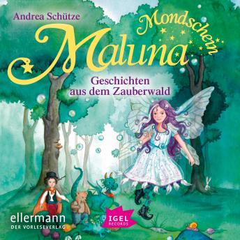 [German] - Maluna Mondschein. Geschichten aus dem Zauberwald