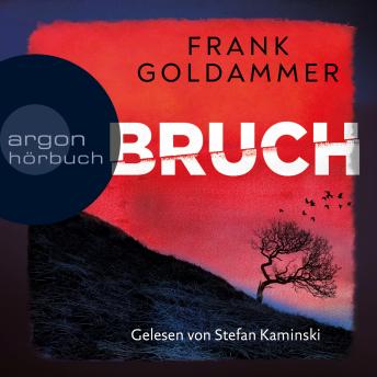 [German] - Bruch - Ein dunkler Ort - Felix Bruch, Band 1 (Ungekürzte Lesung)