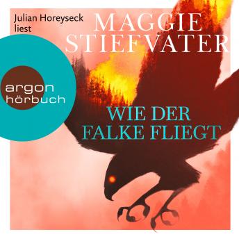 [German] - Wie der Falke fliegt - Dreamer-Trilogie, Band 1 (Ungekürzte Lesung)