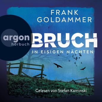 [German] - Bruch - In eisigen Nächten - Felix Bruch, Band 2 (Ungekürzte Lesung)