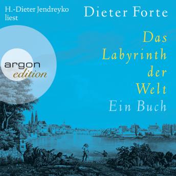 Das Labyrinth der Welt - Ein Buch (Gekürzte Fassung), Audio book by Dieter Forte