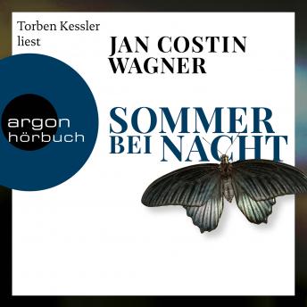 [German] - Sommer bei Nacht (Ungekürzte Lesung)