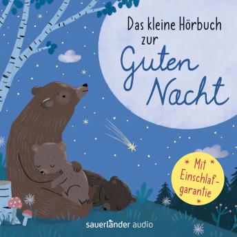 [German] - Das kleine Hörbuch zur Guten Nacht (Ungekürzte Lesung mit Musik)