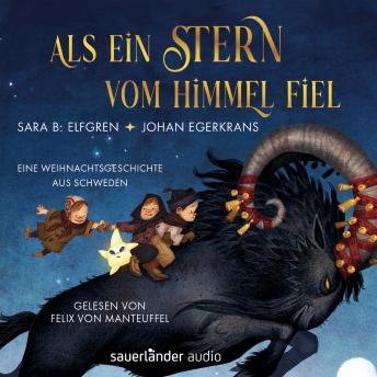 [German] - Als ein Stern vom Himmel fiel - Eine Weihnachtsgeschichte aus Schweden (Ungekürzte Lesung)