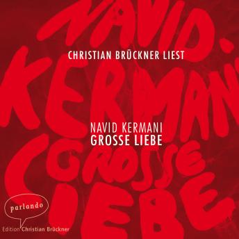 [German] - Große Liebe (Ungekürzte Lesung)