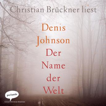 [German] - Der Name der Welt (Ungekürzte Lesung)