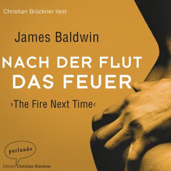 Nach der Flut das Feuer (Ungekürzte Lesung), Audio book by James Baldwin