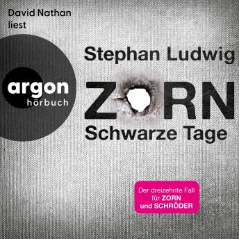[German] - Schwarze Tage - Zorn, Band 13 (Ungekürzte Lesung)