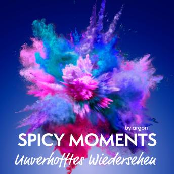 [German] - Unverhofftes Wiedersehen - Erotische Geschichte - spicy moments, Band 2 (Ungekürzte Lesung)
