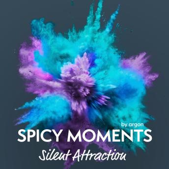 [German] - Silent Attraction - Erotische Geschichte - spicy moments, Band 12 (Ungekürzte Lesung)
