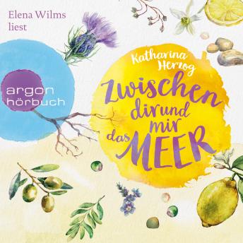 Zwischen dir und mir das Meer (Gekürzte Lesung), Audio book by Katharina Herzog