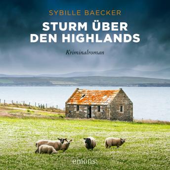 [German] - Sturm über den Highlands - Kriminalroman (Ungekürzt)