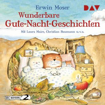 Download Wunderbare Gute-Nacht-Geschichten (Gekürzt) by Erwin Moser