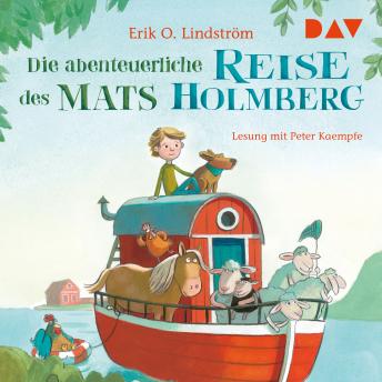 [German] - Die abenteuerliche Reise des Mats Holmberg (ungekürzt)
