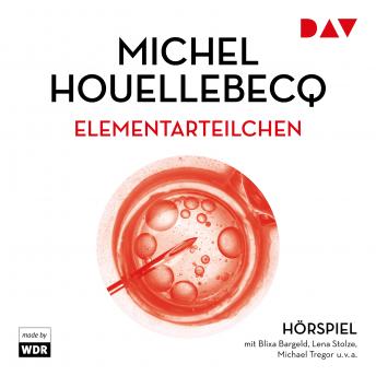 [German] - Elementarteilchen