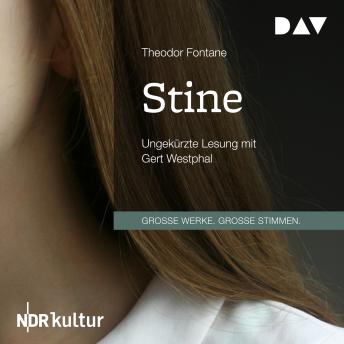 Stine (Ungekürzt), Audio book by Theodor Fontane