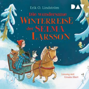 [German] - Die wundersame Winterreise der Selma Larsson (Gekürzt)