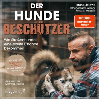 [German] - Der Hundebeschützer: Wie Straßenhunde eine zweite Chance bekommen | thegodfatherofdogs gibt Tipps für Hunde-Adoption, SPIEGEL-Bestseller, Gewinner LovelyBooks Community Award 2025
