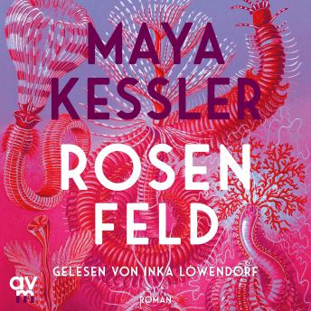 [German] - Rosenfeld