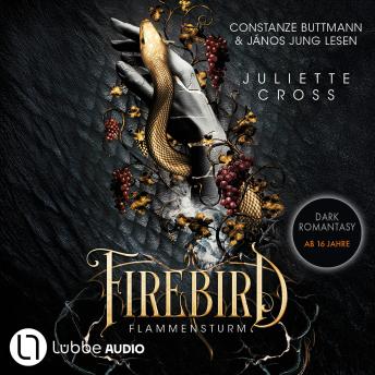 [German] - Firebird - Flammensturm, Teil 1 (Ungekürzt)