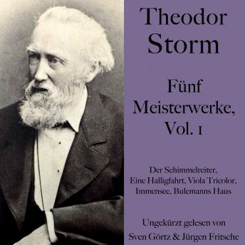 [German] - Theodor Storm: Fünf Meisterwerke, Vol. 1: Der Schimmelreiter, Eine Halligfahrt, Viola Tricolor, Immensee, Bulemanns Haus