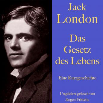 [German] - Jack London: Das Gesetz des Lebens: Eine Kurzgeschichte. Ungekürzt gelesen