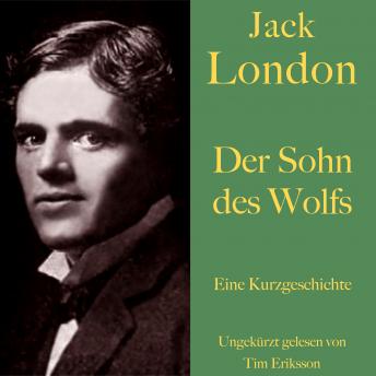 [German] - Jack London: Der Sohn des Wolfs: Eine Kurzgeschichte. Ungekürzt gelesen