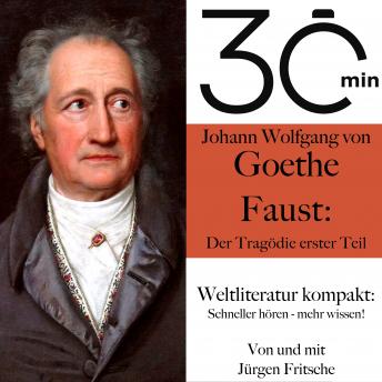 [German] - 30 Minuten: Johann Wolfgang von Goethes 'Faust – Der Tragödie erster Teil': Weltliteratur kompakt: Schneller hören – mehr wissen!