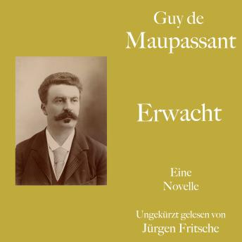 [German] - Guy de Maupassant: Erwacht: Eine Novelle. Ungekürzt gelesen.