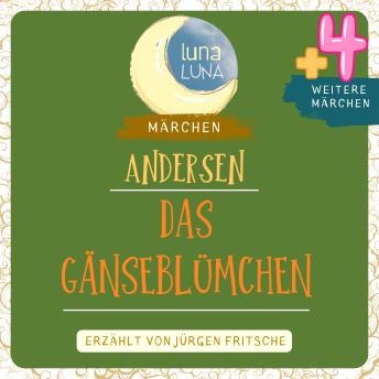 [German] - Das Gänseblümchen plus vier weitere Märchen von Hans Christian Andersen: Das Gänseblümchen, Die Windmühle,  Tanze tanze Püppchen mein, Zwei Jungfern,  Die glückliche Familie,