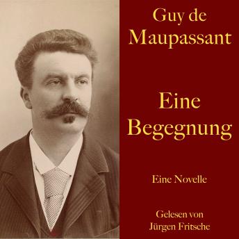 [German] - Guy de Maupassant: Eine Begegnung: Eine Novelle. Ungekürzt gelesen.