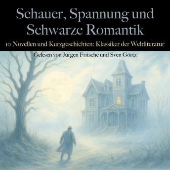 [German] - Schauer, Spannung und Schwarze Romantik: 10 Novellen und Kurzgeschichten: Klassiker der Weltliteratur