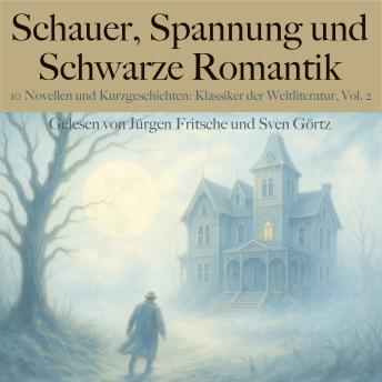 [German] - Schauer, Spannung und Schwarze Romantik, Vol. 2: 10 Novellen und Kurzgeschichten: Klassiker der Weltliteratur