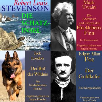 [German] - Die Abenteuer Box: 4 Hörbuch-Klassiker: Die Schatzinsel, Huckleberry Finn, Ruf der Wildnis, Der Goldkäfer