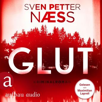 [German] - Glut - Team Oslo ermittelt, Band 1 (Gekürzt)