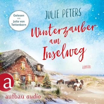 [German] - Winterzauber am Inselweg - Friekes Buchladen, Band 5 (Ungekürzt)