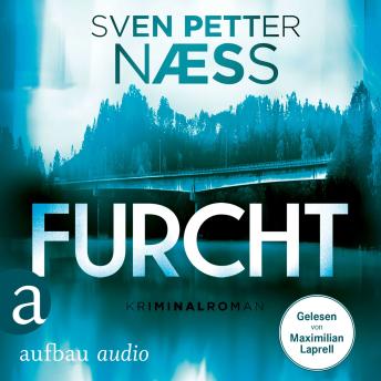 [German] - Furcht - Team Oslo ermittelt, Band 2 (Gekürzt)