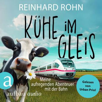 [German] - Kühe im Gleis - Meine aufregenden Abenteuer mit der Bahn (Ungekürzt)