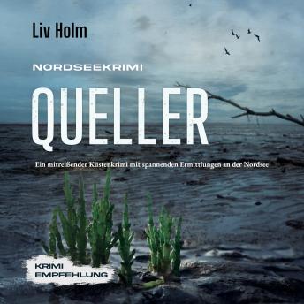 [German] - Nordseekrimi Queller: Ein mitreißender Küstenkrimi mit spannenden Ermittlungen an der Nordsee - Krimi Empfehlung